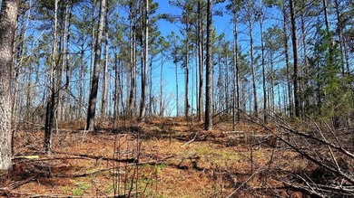 63.20 acres conveniently located 8 miles from Water Valley and - photo 17