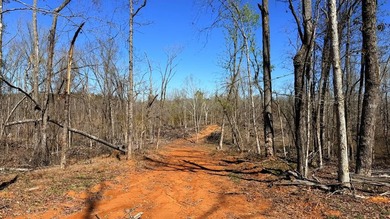 63.20 acres conveniently located 8 miles from Water Valley and - photo 18