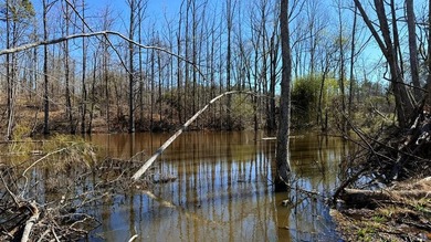 63.20 acres conveniently located 8 miles from Water Valley and - photo 19