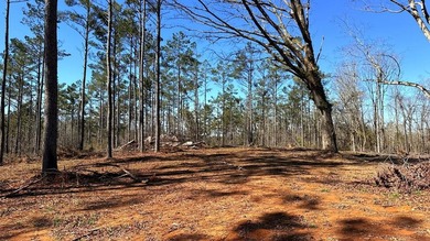 63.20 acres conveniently located 8 miles from Water Valley and - photo 20