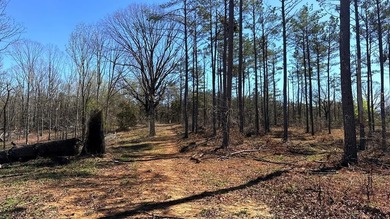 63.20 acres conveniently located 8 miles from Water Valley and - photo 21
