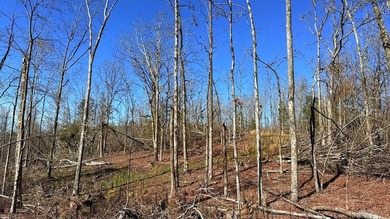 63.20 acres conveniently located 8 miles from Water Valley and - photo 22