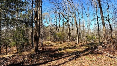 63.20 acres conveniently located 8 miles from Water Valley and - photo 23