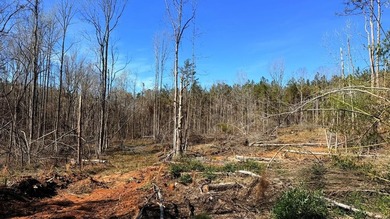 63.20 acres conveniently located 8 miles from Water Valley and - photo 24