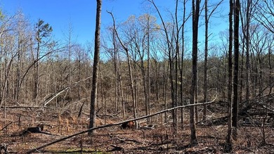 63.20 acres conveniently located 8 miles from Water Valley and - photo 25