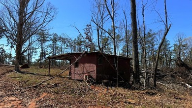 63.20 acres conveniently located 8 miles from Water Valley and - photo 26