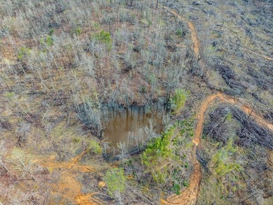 63.20 acres conveniently located 8 miles from Water Valley and - photo 31