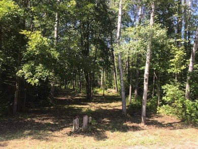 Crooked Lake - Emmet County Lot For Sale in Alanson Michigan