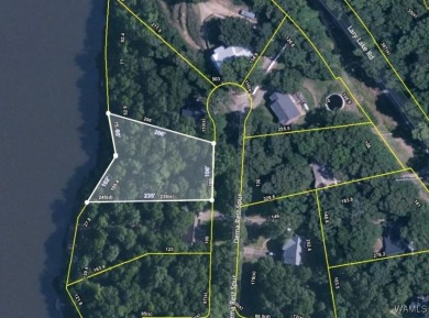 Lake Lot For Sale in Northport, Alabama