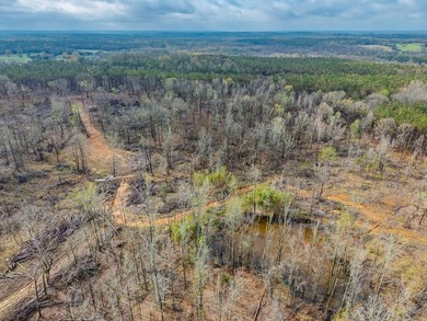 63.20 acres conveniently located 8 miles from Water Valley and - photo 32