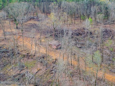 63.20 acres conveniently located 8 miles from Water Valley and - photo 33