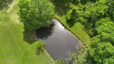 1930s Historic Estate on 1.64 +/- Acres - Character, Space & - photo 34