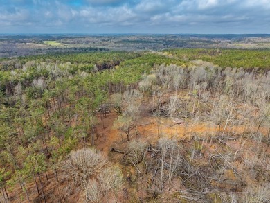 63.20 acres conveniently located 8 miles from Water Valley and - photo 34