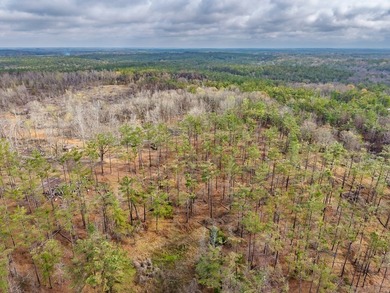 63.20 acres conveniently located 8 miles from Water Valley and - photo 35