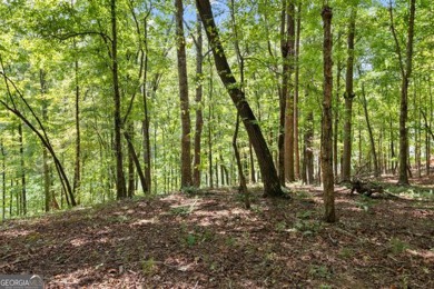 Lakefront 1.64+/- Acre lot in the Highly Desirable Lake Laceola - photo 6