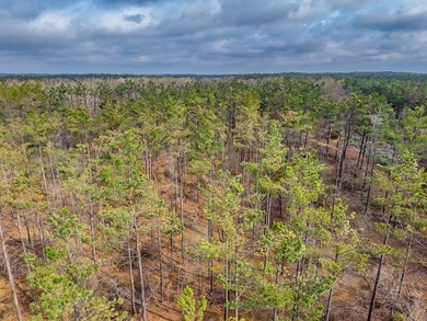 63.20 acres conveniently located 8 miles from Water Valley and - photo 37