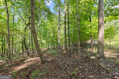 Lakefront 1.64+/- Acre lot in the Highly Desirable Lake Laceola - photo 8