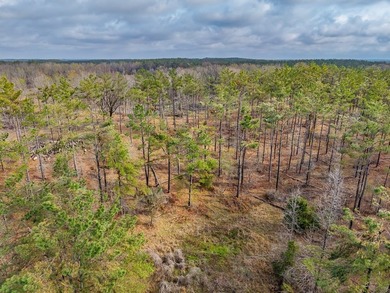 63.20 acres conveniently located 8 miles from Water Valley and - photo 38