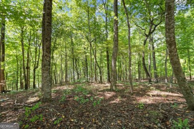 Lakefront 1.64+/- Acre lot in the Highly Desirable Lake Laceola - photo 9