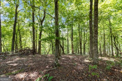 Lakefront 1.64+/- Acre lot in the Highly Desirable Lake Laceola - photo 10