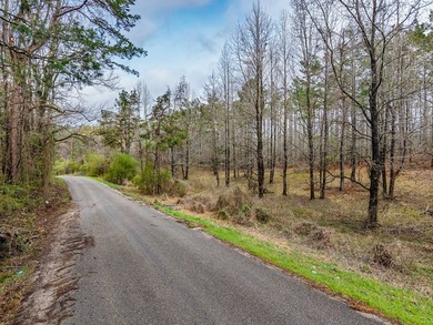 63.20 acres conveniently located 8 miles from Water Valley and - photo 40