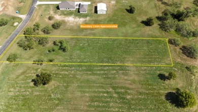 Cleared Beautiful Lakeview lot ready for your home build - photo 23