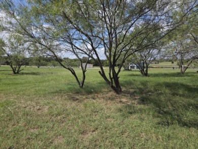 Cleared Beautiful Lakeview lot ready for your home build - photo 4