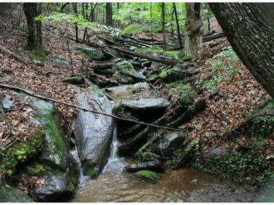 Lake Tamarack Lot For Sale in Jasper Georgia