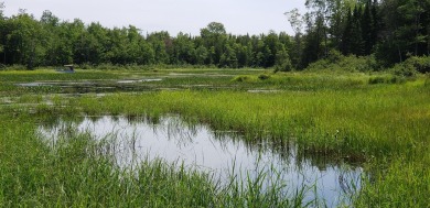 Lake Acreage For Sale in Milo, Maine