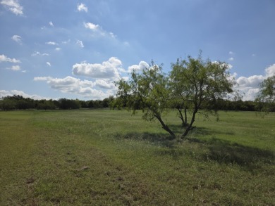 Cleared Beautiful Lakeview lot ready for your home build - photo 19