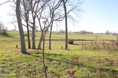 Beautiful 140-acre farm with homestead offering a mix of open - photo 33