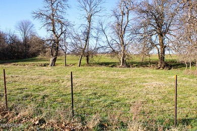 Beautiful 140-acre farm with homestead offering a mix of open - photo 37