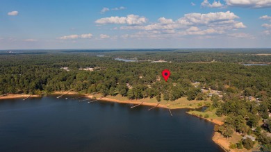 Fully Remodeled Lakefront Home with Sweeping Views of Lake O' - photo 42