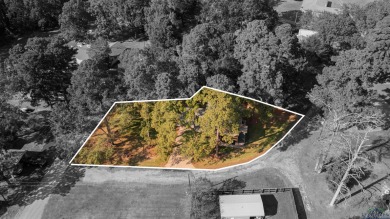Fully Remodeled Lakefront Home with Sweeping Views of Lake O' - photo 43