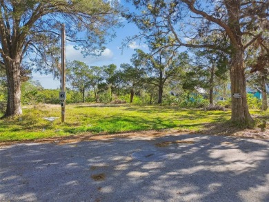 Lake Lot For Sale in Port Richey, Florida