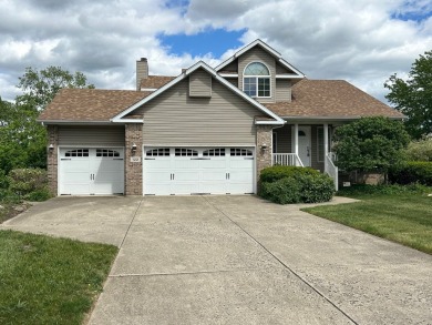 Lake Home For Sale in Minooka, Illinois