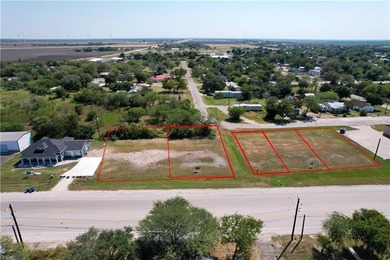 Lake Commercial For Sale in Mathis, Texas