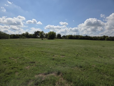 Cleared Beautiful Lakeview lot ready for your home build - photo 5
