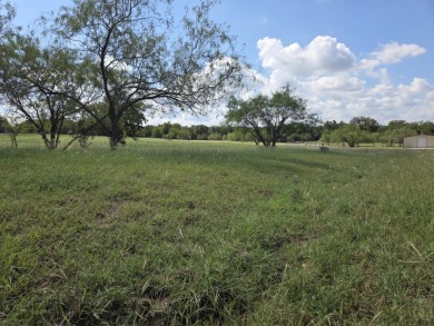 Cleared Beautiful Lakeview lot ready for your home build - photo 3