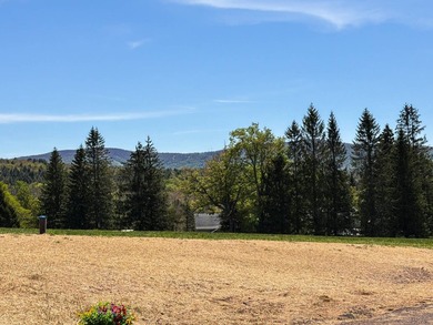 A private mountain escape with 2 homes! Set on 12 breathtaking - photo 33