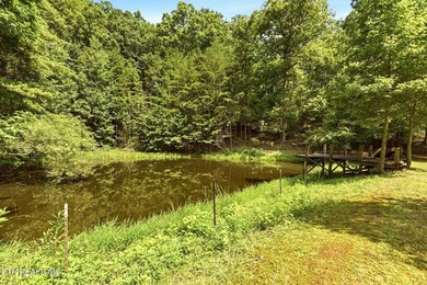 Embrace the East Tennessee lifestyle with this beautifully - photo 41