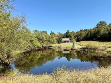(private lake, pond, creek) Home Sale Pending in Lesterville Missouri