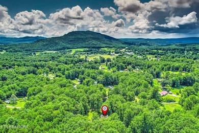 Embrace the East Tennessee lifestyle with this beautifully - photo 45