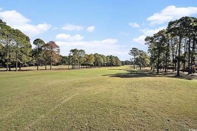 Beautifully updated 3BR/2.5BA home situated on the 18th fairway - photo 46