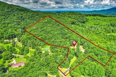 Embrace the East Tennessee lifestyle with this beautifully - photo 48