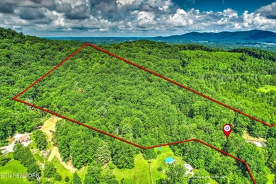 Embrace the East Tennessee lifestyle with this beautifully - photo 50