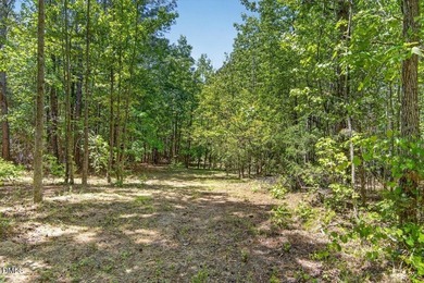 Over 7 Acres with frontage on beautiful Kerr Lake & direct - photo 10