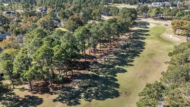 Beautifully updated 3BR/2.5BA home situated on the 18th fairway - photo 53
