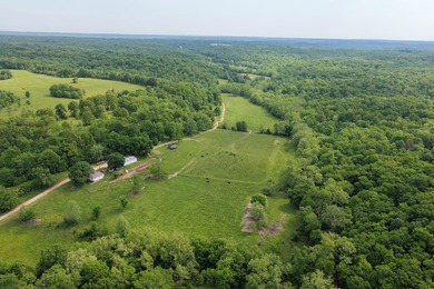 This is a really nice Benton county farm really close to Lake of - photo 11