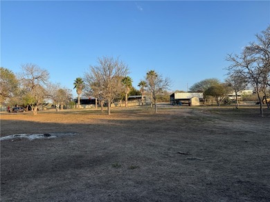 This 4.3 acre fenced property with Frio River frontage, a - photo 3
